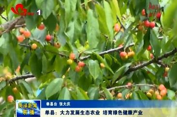 单县：大力发展生态农业 培育绿色健康产业