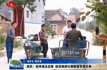 成武：保持高压态势 纵深推进扫黑除恶专项斗争
