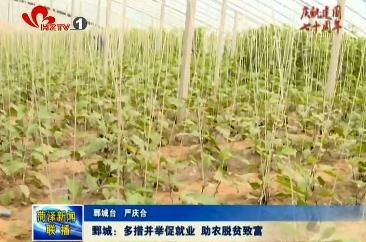 鄄城：多措并举促就业，助农脱贫致富