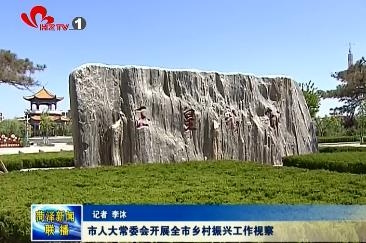 市人大常委会开展全市乡村振兴工作视察