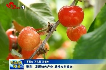 曹县：发展特色产业 助推乡村振兴