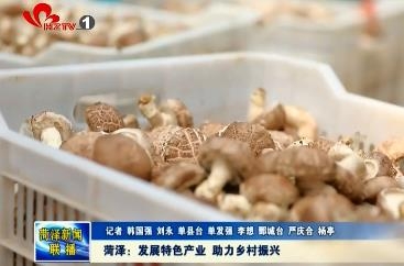 菏泽：发展特色产业 助力乡村振兴