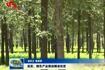 成武：绿色产业推动精准扶贫
