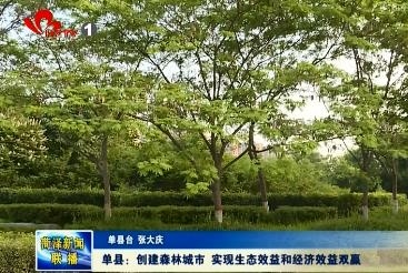 单县：创建森林城市 实现生态效益和经济效益双赢