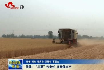 菏泽：“三夏”作业忙 多措保丰产