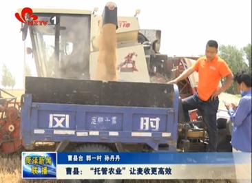 曹县“托管农业”让麦收更高效