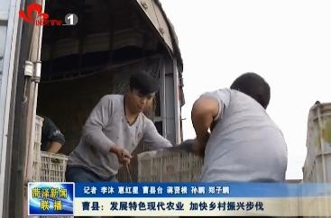 曹县：发展特色现代农业 加快乡村振兴步伐