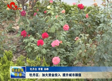 牡丹区：加大资金投入 提升城市颜值
