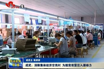 成武：消除集体经济空壳村 为脱贫攻坚注入源动力