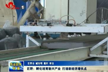 巨野：孵化培育新兴产业 打造新经济增长点