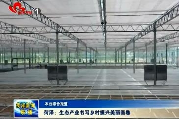 菏泽：生态产业书写乡村振兴美丽画卷