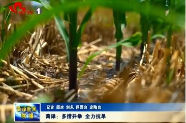 菏泽：多措并举 全力抗旱