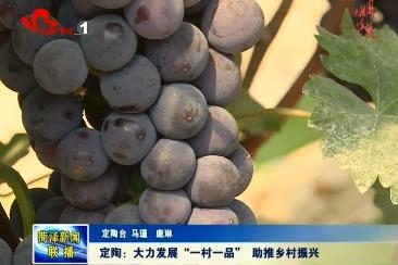 定陶:大力发展