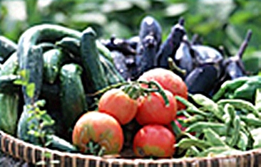 不利天气等多重因素致菜价小幅上涨