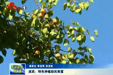 成武：特色种植助民致富