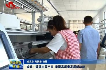 成武：做强主导产业 集聚高质量发展新动能