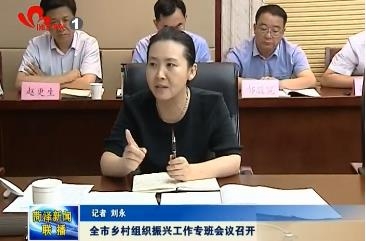全市乡村组织振兴工作专班会议召开