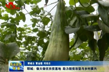 郓城：做大做优扶贫基地 助力脱贫攻坚与乡村振兴