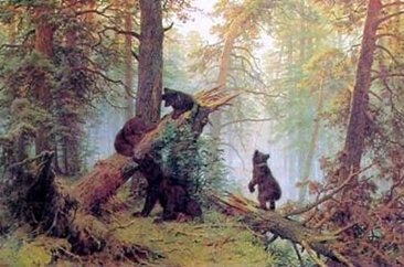 研究称滥伐森林使野生动物难以适应气候变化