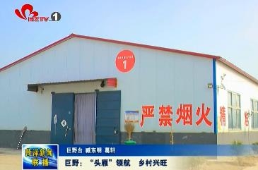 巨野：“头雁”领航  乡村兴旺