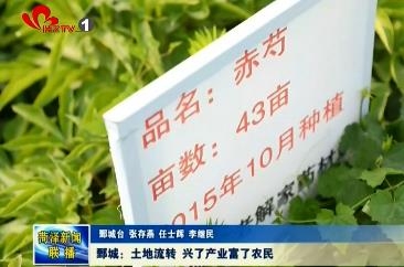 鄄城：土地流转 兴了产业富了农民