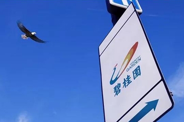  企业家精神：世界500强榜单之外的追求 