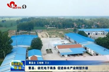曹县：依托电子商务 促进林木产业转型升级