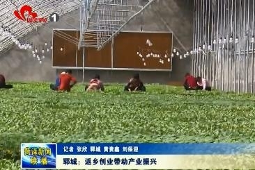 郓城：返乡创业带动产业振兴