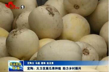 定陶：大力发展瓜果种植 助力乡村振兴
