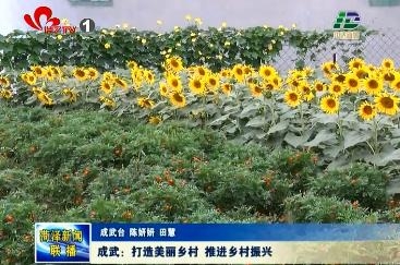 成武：打造美丽乡村 推进乡村振兴