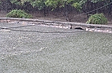 北京局地强降雨：转移群众651人 关闭景区94家
