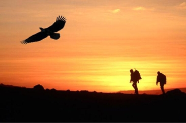 “野游”遇险救援，有偿还要有罚