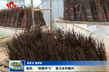 成武：“群雁齐飞” 助力乡村振兴