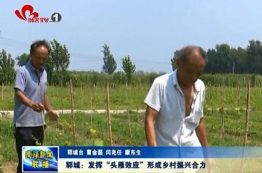 郓城：发挥“头雁效应”形成乡村振兴合力
