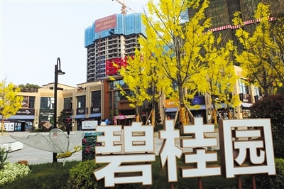 “大而求稳” 第一梯队房企主动降速