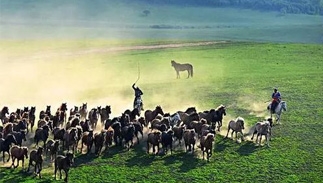 马文化正在成为内蒙古草原旅游新亮点