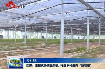 巨野：集聚优势突出特色 打造乡村振兴“新引擎”