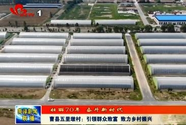 【壮丽七十年 奋进新时代】曹县五里墩村：引领群众致富 致力乡村振兴