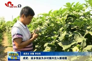 成武：返乡创业为乡村振兴注入新动能