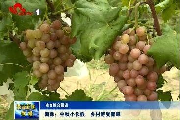 菏泽：中秋小长假 乡村游受青睐