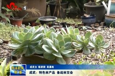 成武：特色林产品 备战林交会