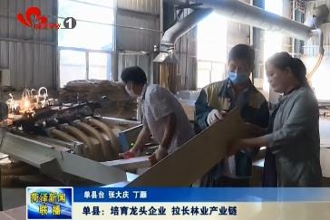 单县：培育龙头企业 拉长林业产业链