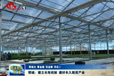 郓城：建立长效机制 建好长久脱贫产业