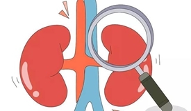 肾为人的先天之本！八项黄金准则防肾病