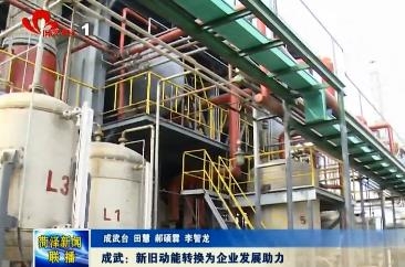 成武：新旧动能转换 为企业腾飞发展助力