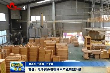 曹县：电子商务成为林木产业转型升级主力军