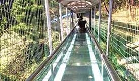 业内呼吁：玻璃滑道监管有待升级