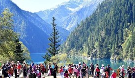 出游价格迎全年低谷 多个热门目的地“拦腰斩”