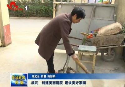 成武：创建美丽庭院 建设美好家园