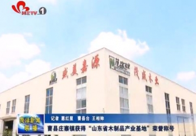 曹县庄寨镇获得“山东省木制品产业基地”荣誉称号